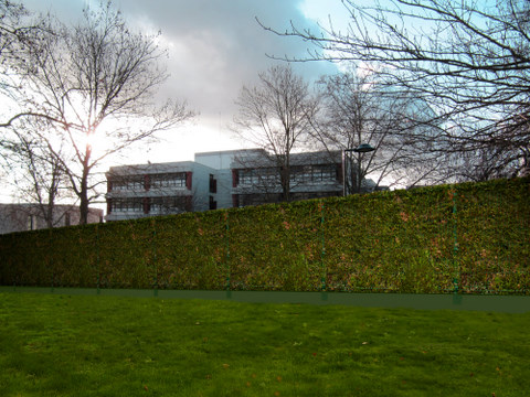 cloture_vegetale_03-1.jpg
